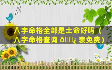 八字命格全部是土命好吗（八字命格查询 🌿 表免费）